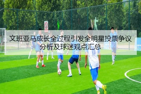 wen-ban-ya-ma-cheng-zhang-quan-guo-cheng-yin-fa-quan-ming-xing-tou-piao-zheng-yi-fen-xi-ji-qiu-mi-guan-dian-hui-zong-2-493.jpg